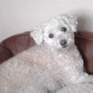 Meet your Posher, Gloria